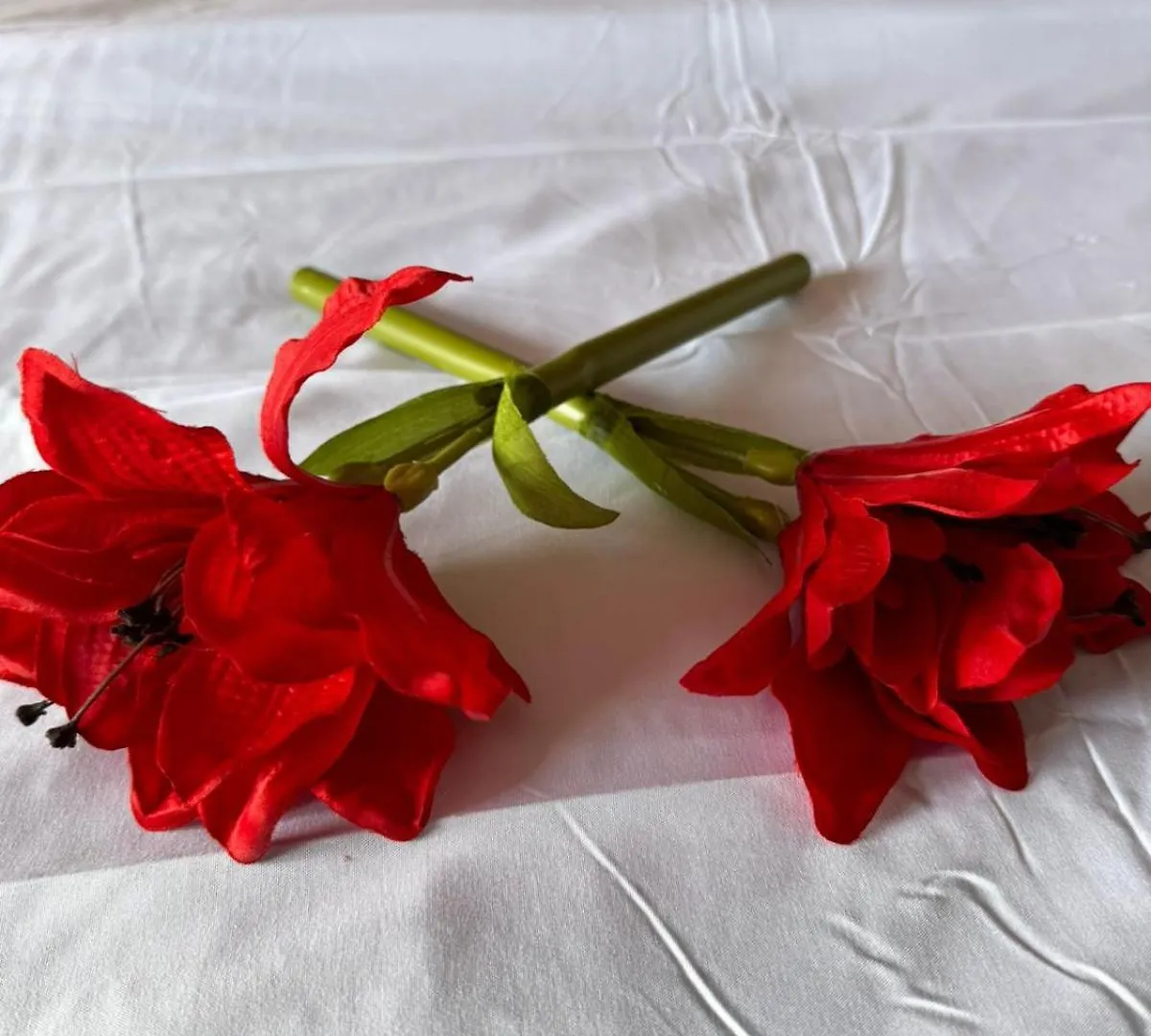 Daire Romantique Studio Piscine, Plage Les Trois-Ilets Martinik